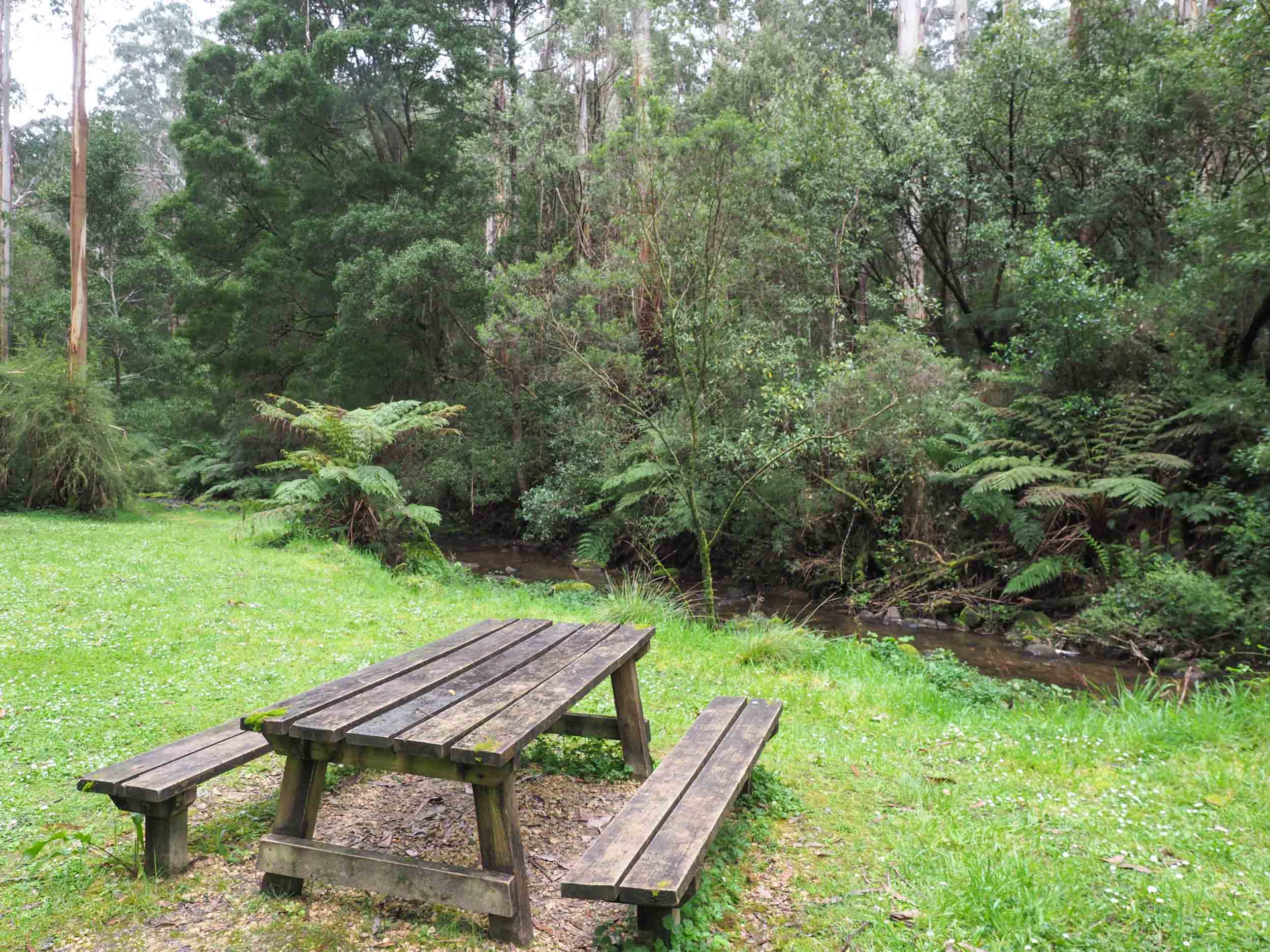 Dog friendly picnic areas Great Ocean Road & Otways